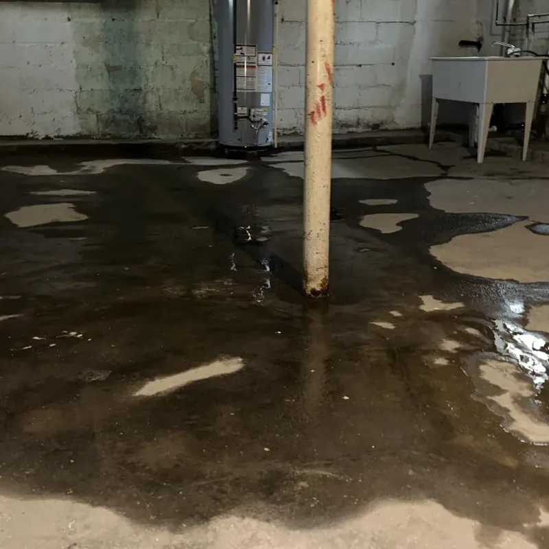 Emergency Water Extraction And Removal in Las Animas County, CO
